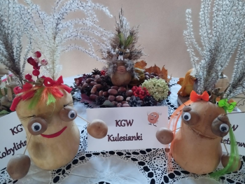 Dzień ziemniaka - III edycja w Kuleszach Kościelnych organizowana przez KGW,,Kulesianki" Dzień ziemniaka - III edycja w Kuleszach Kościelnych organizowana przez KGW,,Kulesianki"