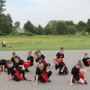 Zrzut ekranu 2025-07-09 154052 (Copy)