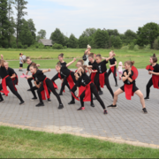 Zrzut ekranu 2025-07-09 154220 (Copy)