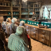 Aktywny i zdrowy Senior