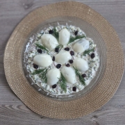 665205662_947382961358934_5771245494041932122_n (Copy)