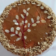 662303333_1642277107117094_2535858433118537413_n (Copy)