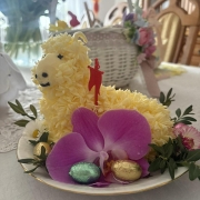 647135669_1486080716358034_6595953546340057784_n (Copy)