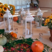 20230904_175112 (Copy)