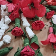IMG_20240313_201507 (Copy)